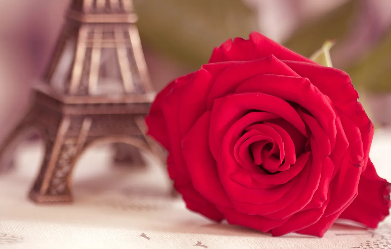 Фото обои цветок, макро, эйфелева башня, роза, размытость, статуэтка, алая