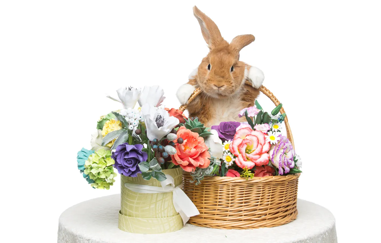 Фото обои цветы, корзина, кролик, Пасха, happy, rabbit, flowers, spring