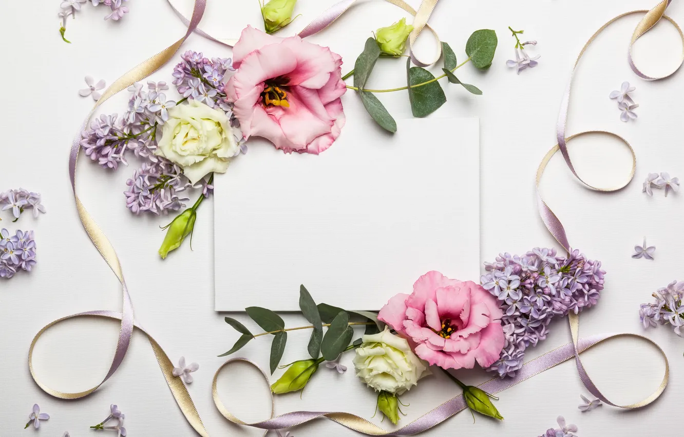 Фото обои цветы, лента, wood, pink, flowers, beautiful, композиция, frame