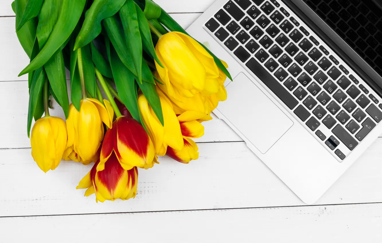 Фото обои цветы, букет, colorful, тюльпаны, ноутбук, flowers, romantic, tulips