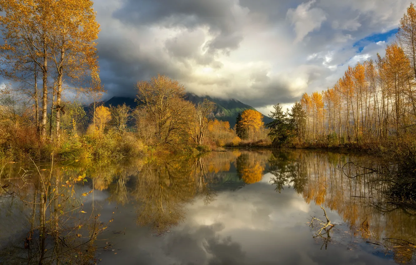 Фото обои осень, лес, горы, туман, отражение, водоем