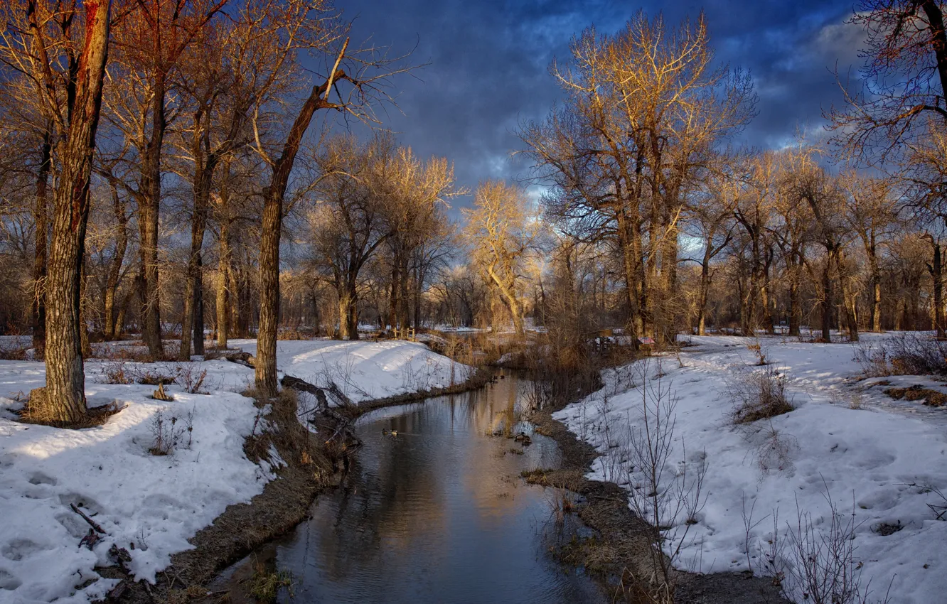 Фото обои зима, лес, тучи, река