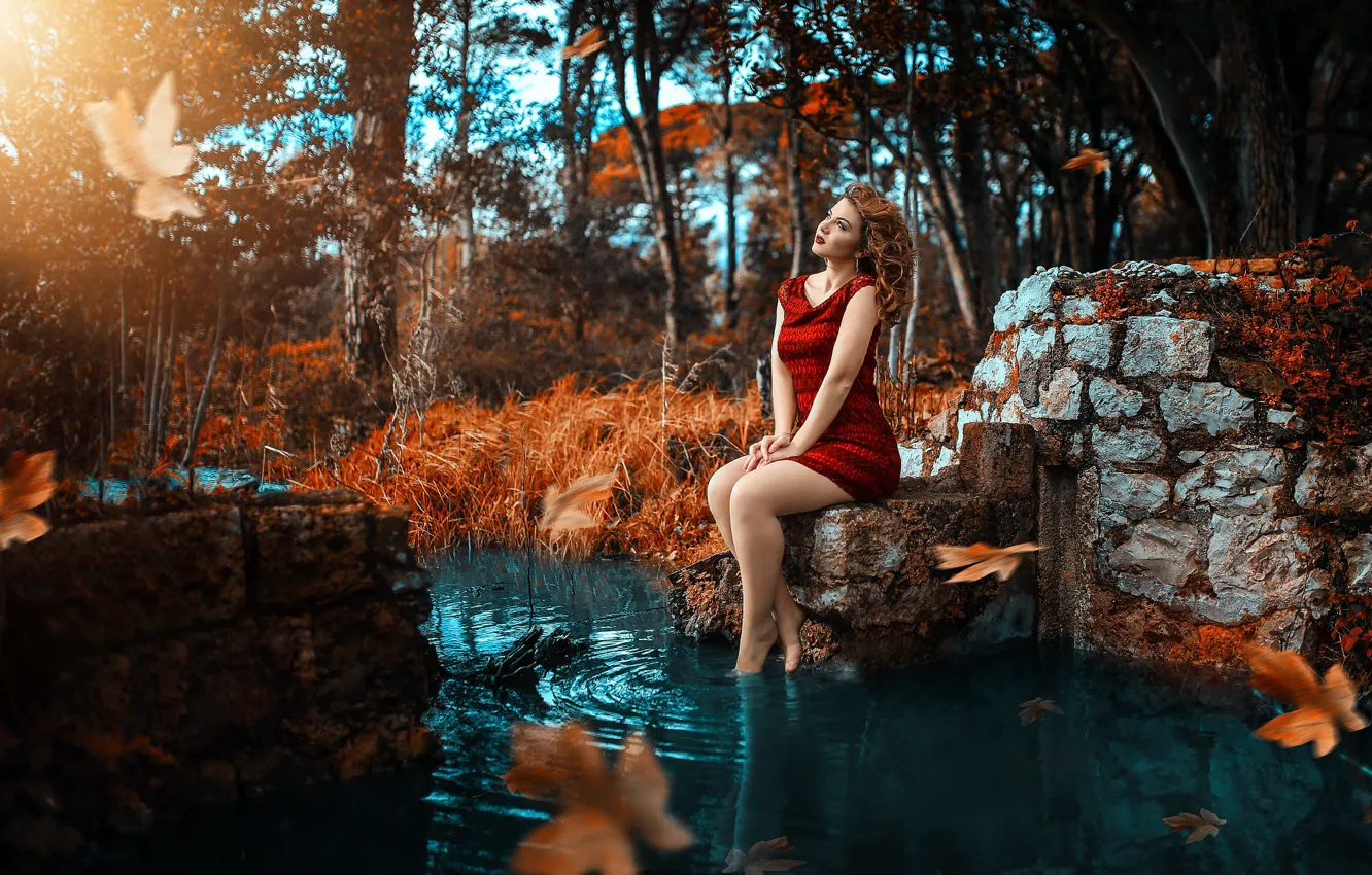 Фото обои платье, ножки, в красном, у воды, Alessandro Di Cicco