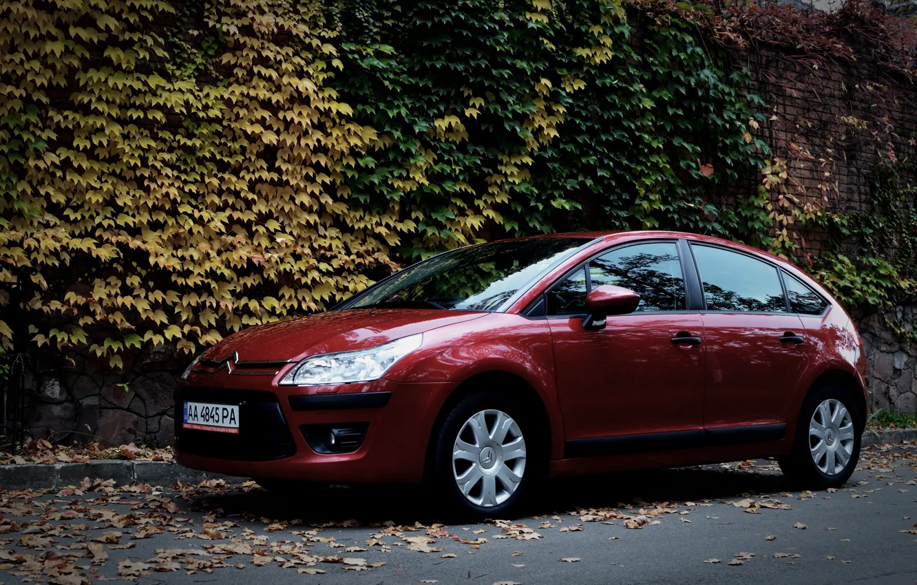 Фото обои машина, осень, листья, Ситроен, Citroen, Car, автомобиль, France