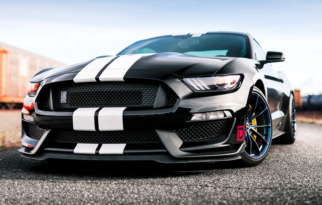 Фото обои Mustang, Ford, Shelby, GT350, Ford Mustang Shelby GT350