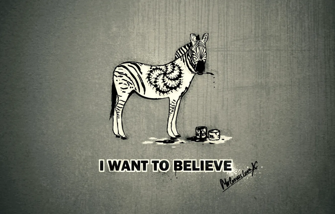 Фото обои зебра, I want to believe
