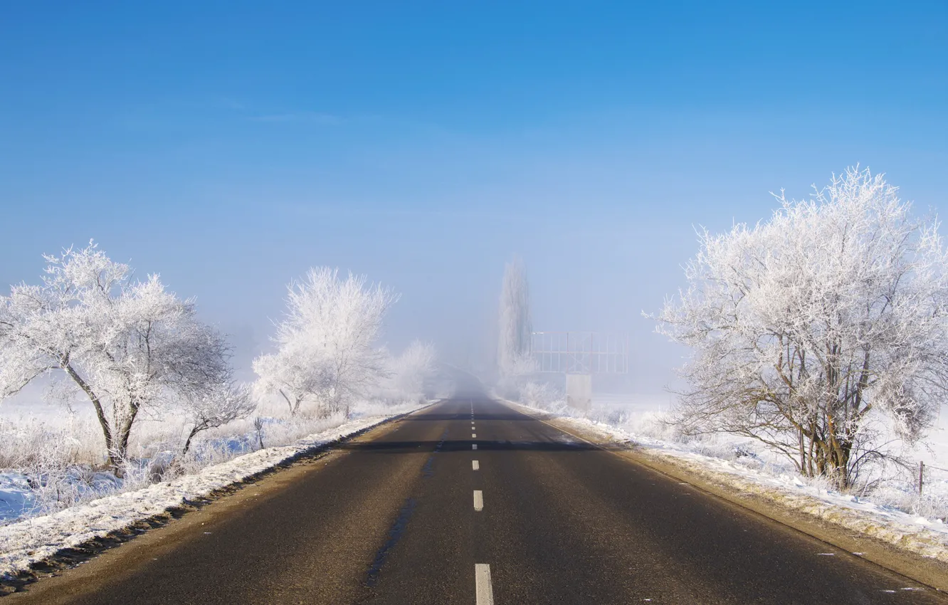 Фото обои зима, дорога, туман