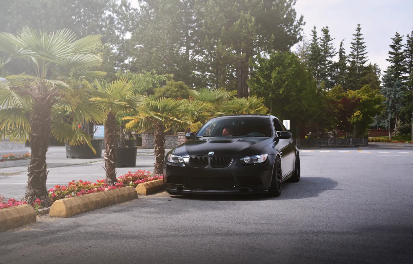 Фото обои bmw, flowers, e92