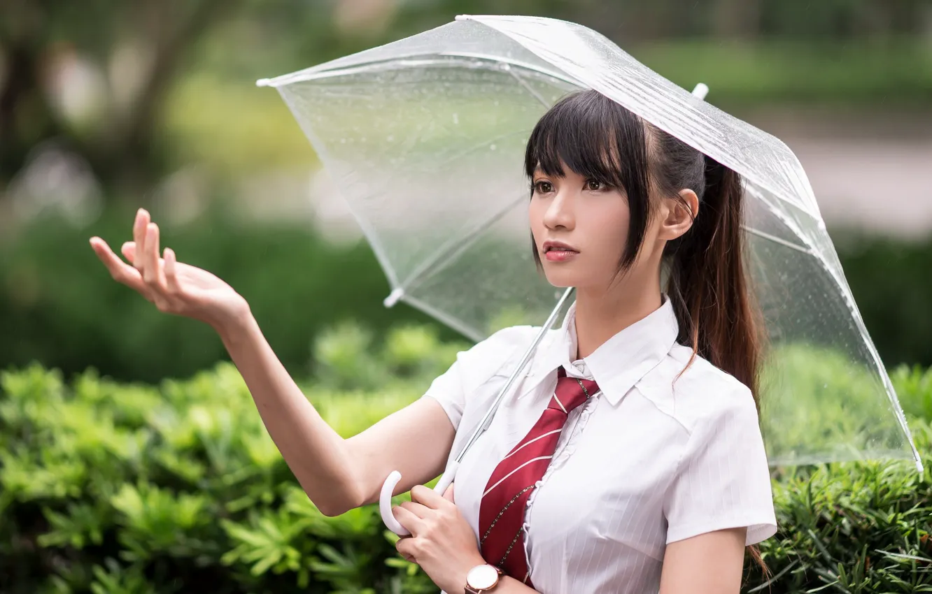 Фото обои девушка, зонтик, азиатка