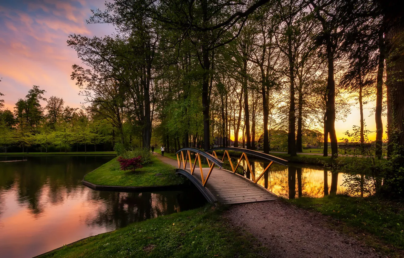 Фото обои деревья, пейзаж, закат, природа, пруд, дорожка, Нидерланды, мостик