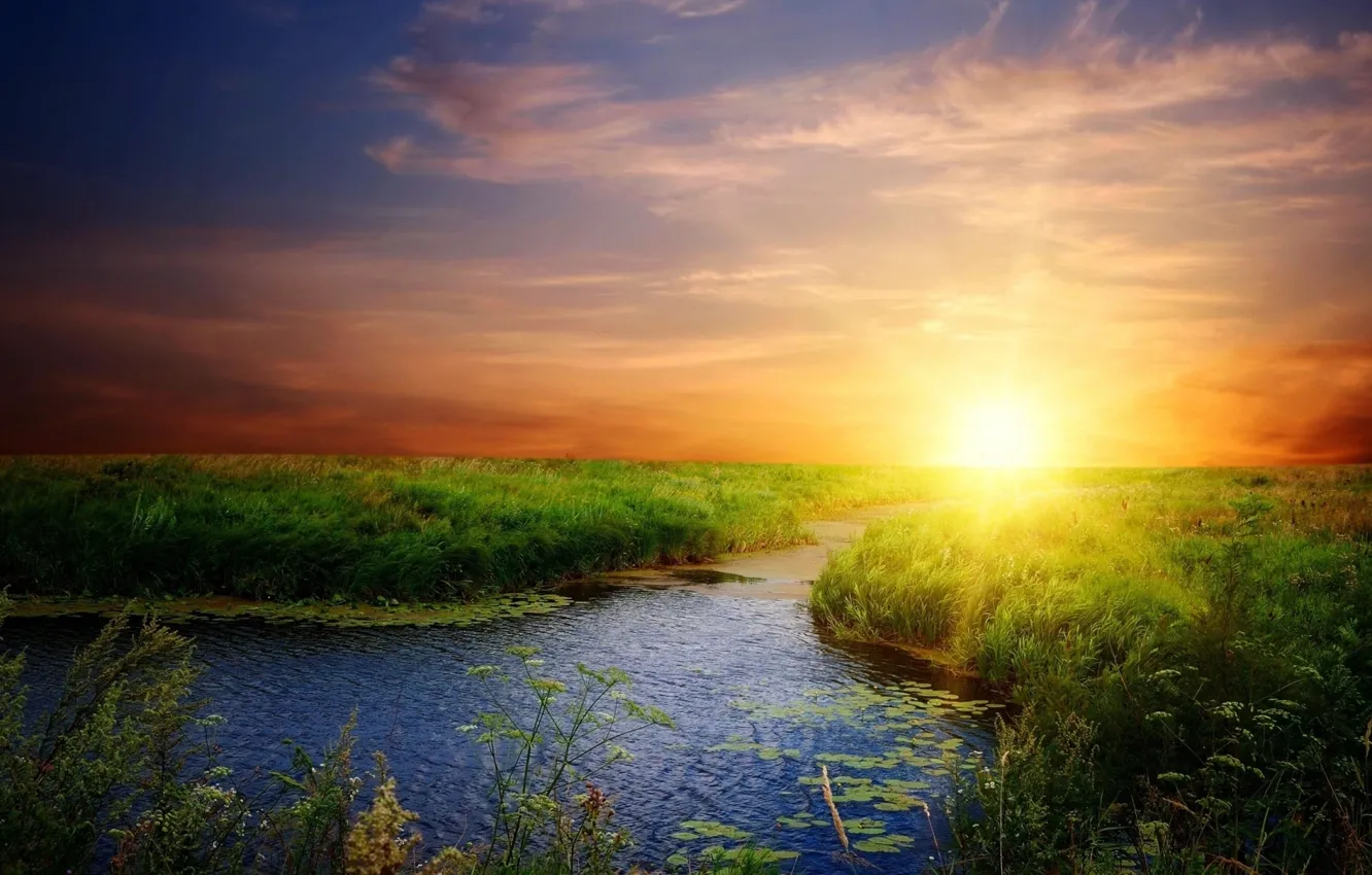 Фото обои небо, трава, солнце, свет, река, восход