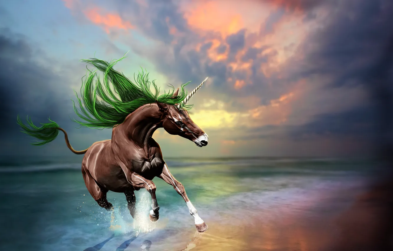 Фото обои море, волны, небо, отражение, животное, конь, арт, единорог