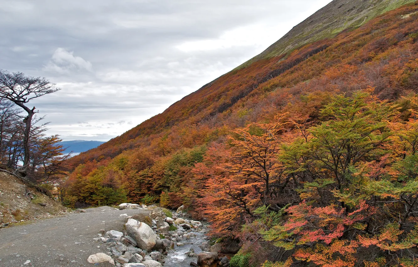 Фото обои осень, небо, деревья, горы, ручей, склон