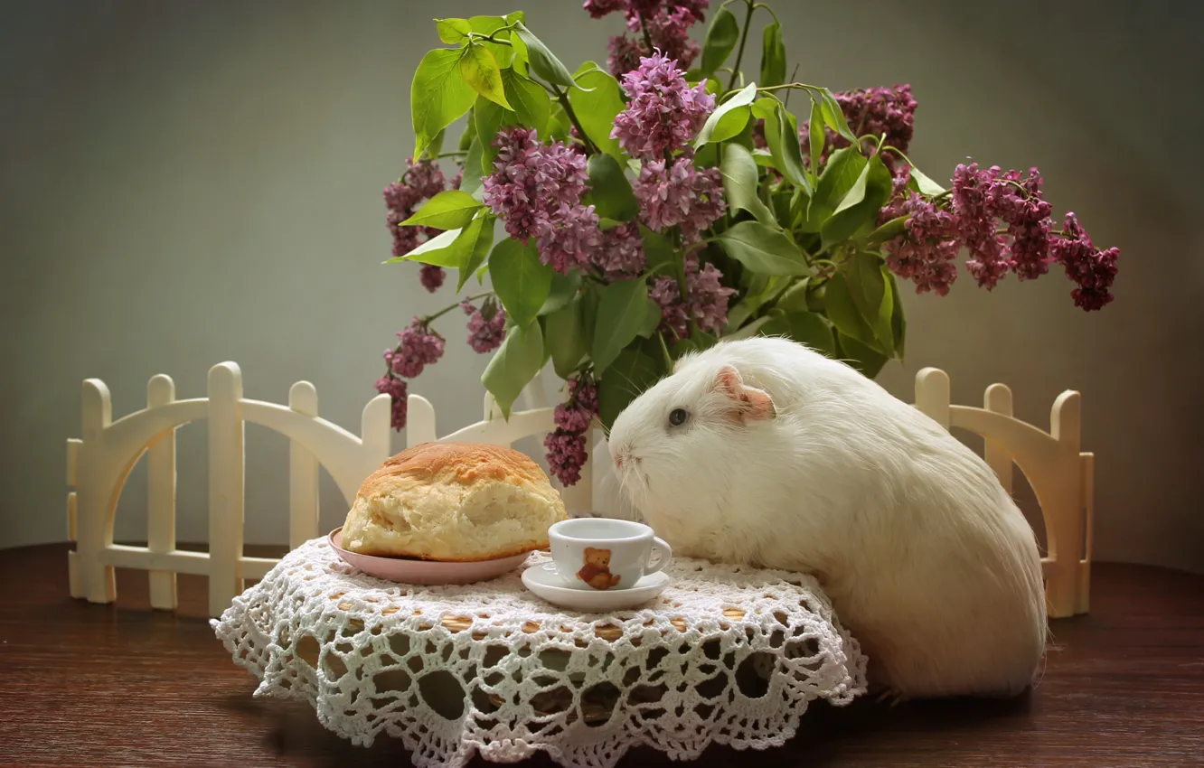 Фото обои животные, весна, май, выпечка, сирень, свинка, композиция, булочка