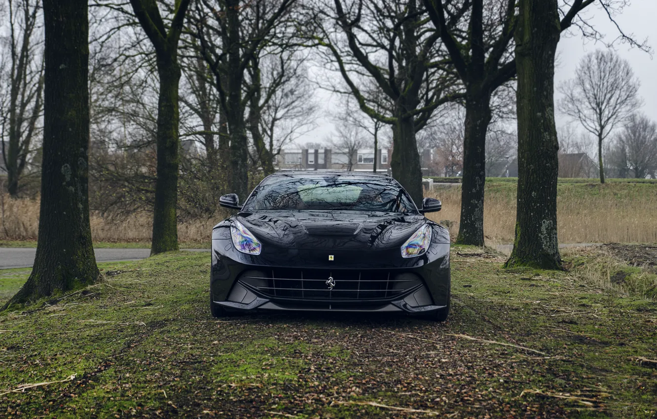 Фото обои Ferrari, black, front, view, berlinetta, F12