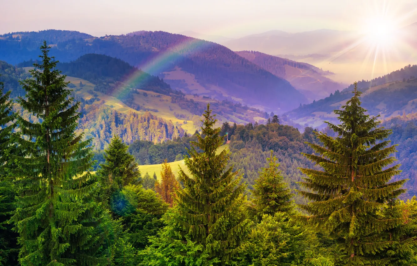 Фото обои деревья, горы, природа, радуга, rainbow, trees, nature, солнечные лучи