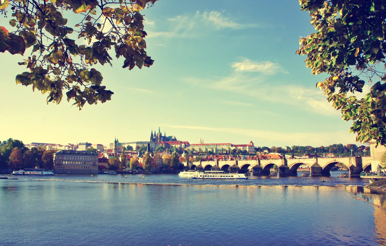Фото обои вода, мост, Прага