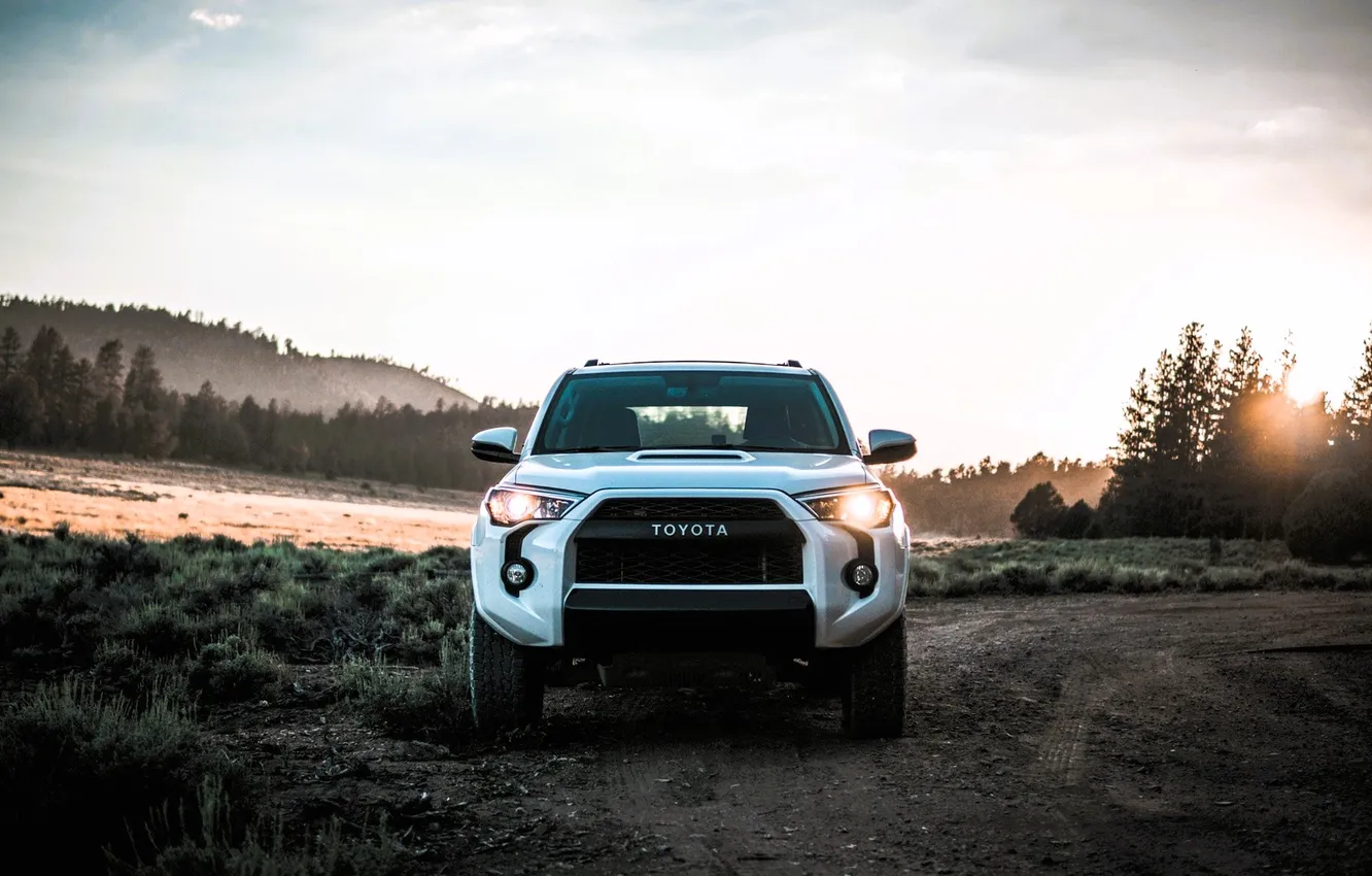 Фото обои дорога, лес, белый, трава, деревья, горы, Toyota, грунтовка