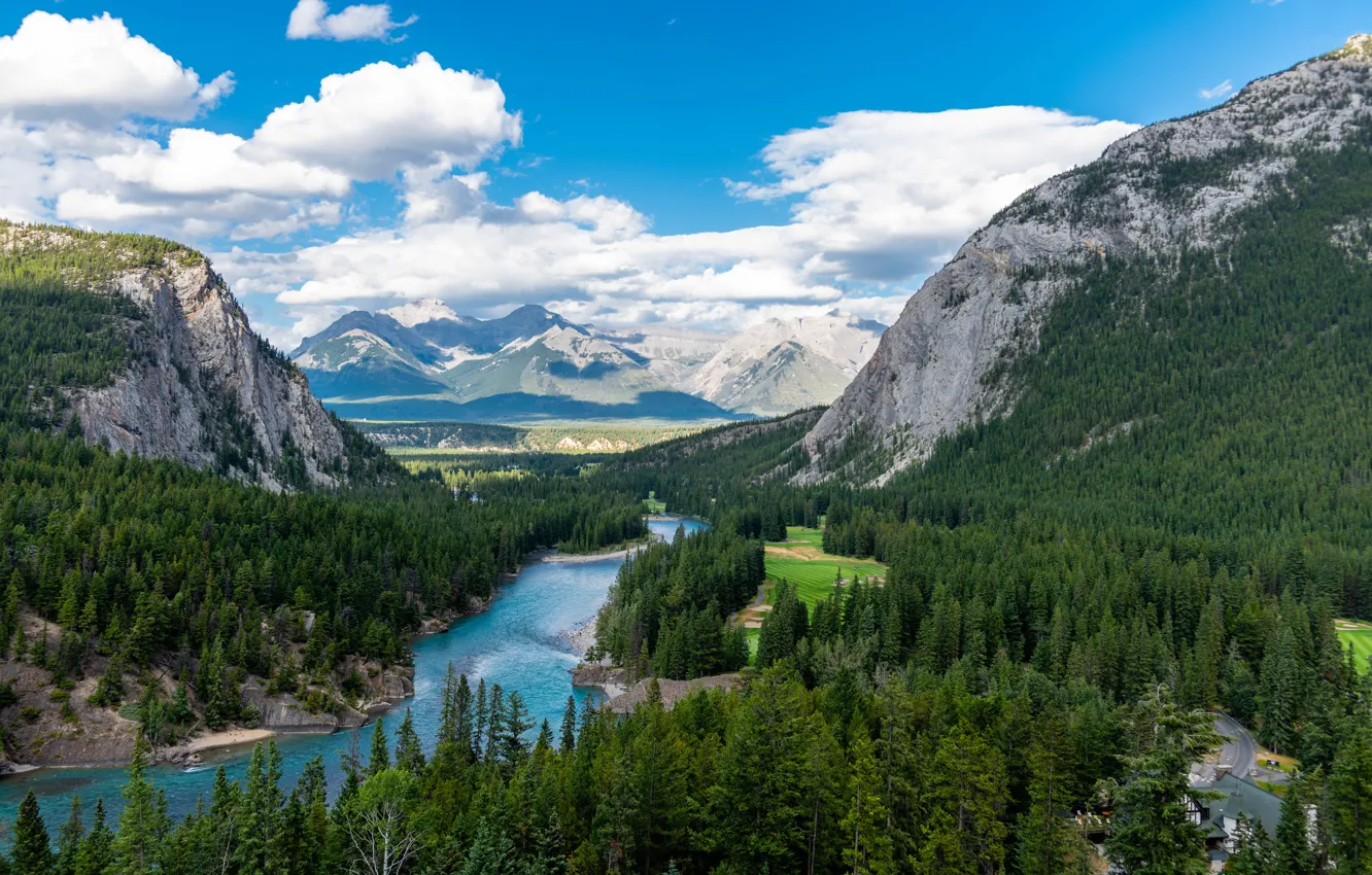 Фото обои лес, горы, река, синева, Берга