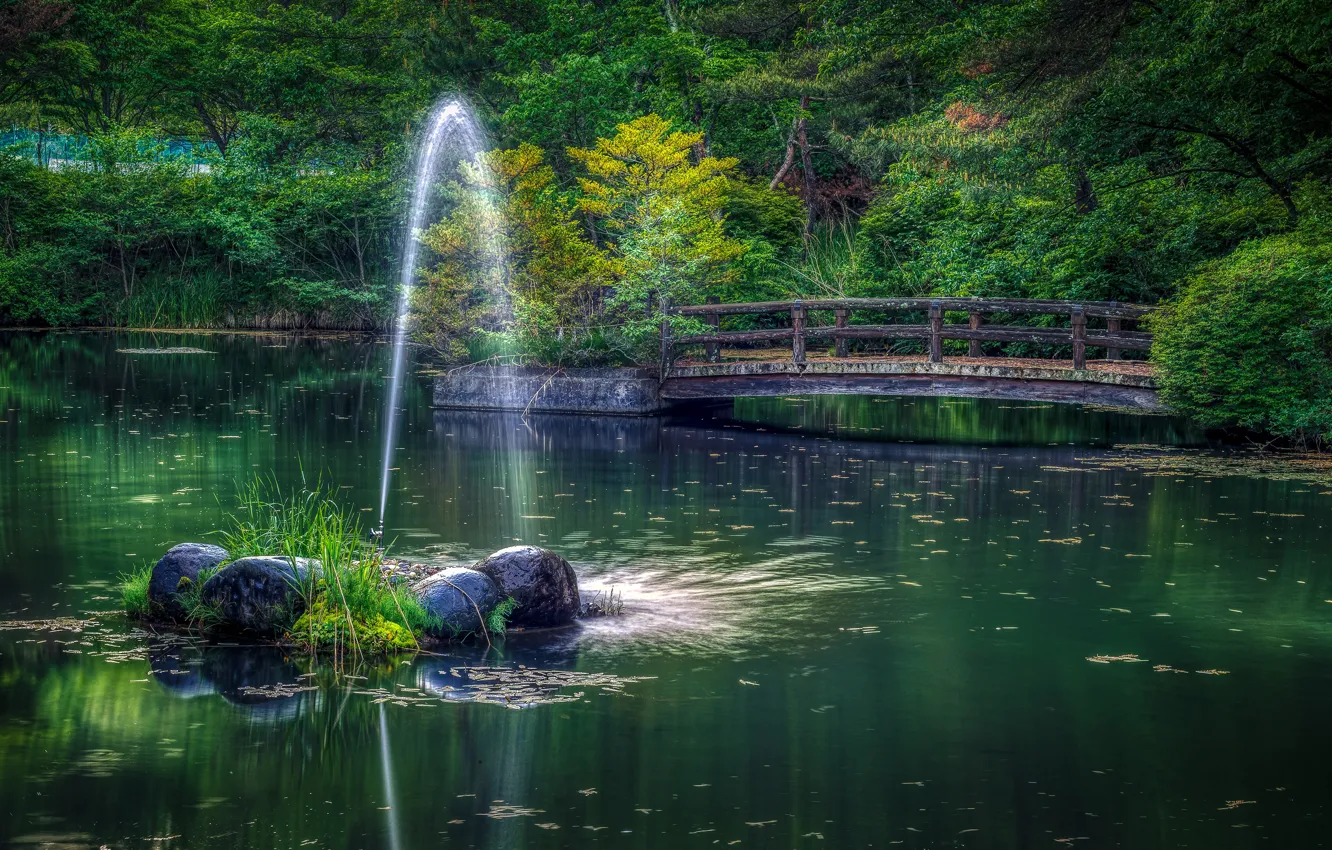 Фото обои зелень, трава, деревья, мост, пруд, парк, камни, Япония