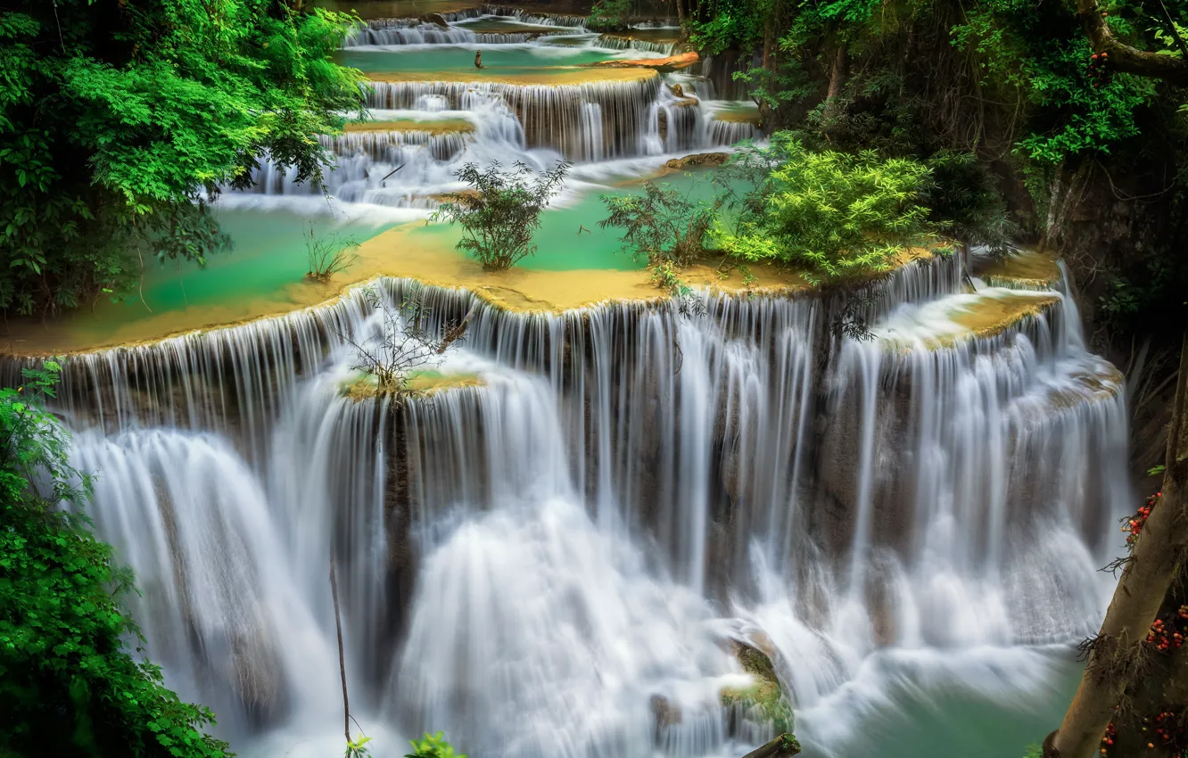 Фото обои лес, камни, водопад