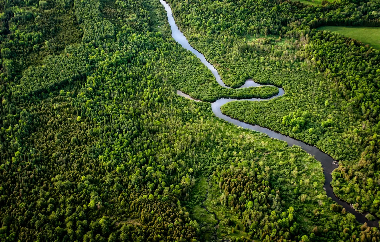 Фото обои лес, природа, река, Canada, Southern Ontario