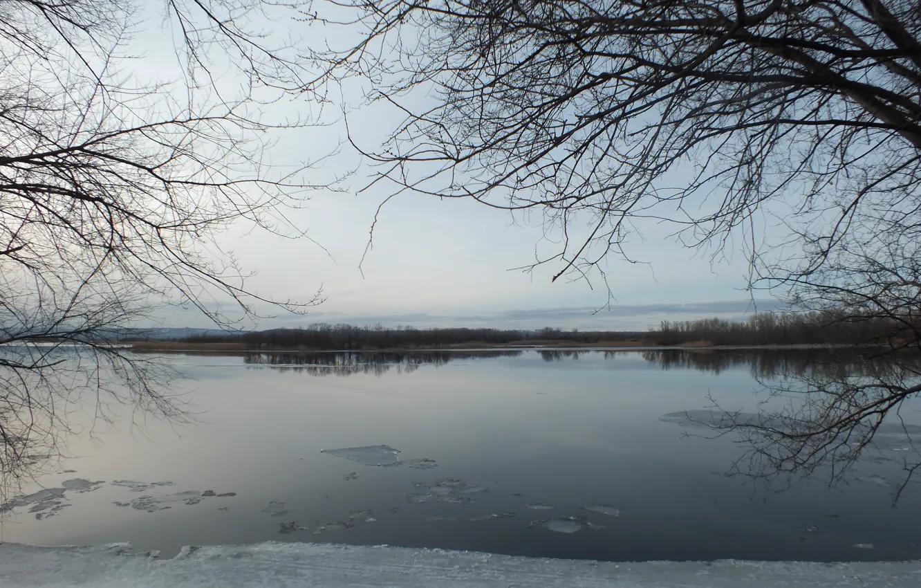 Фото обои лед, деревья, природа, остров, Весна, Волга