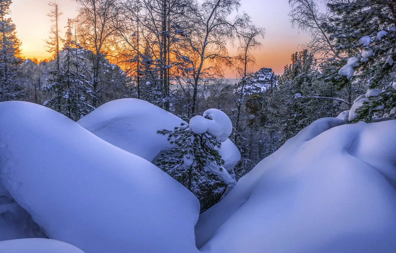 Фото обои зима, снег, деревья, Анатолич, Национальный парк "Красноярские Столбы"