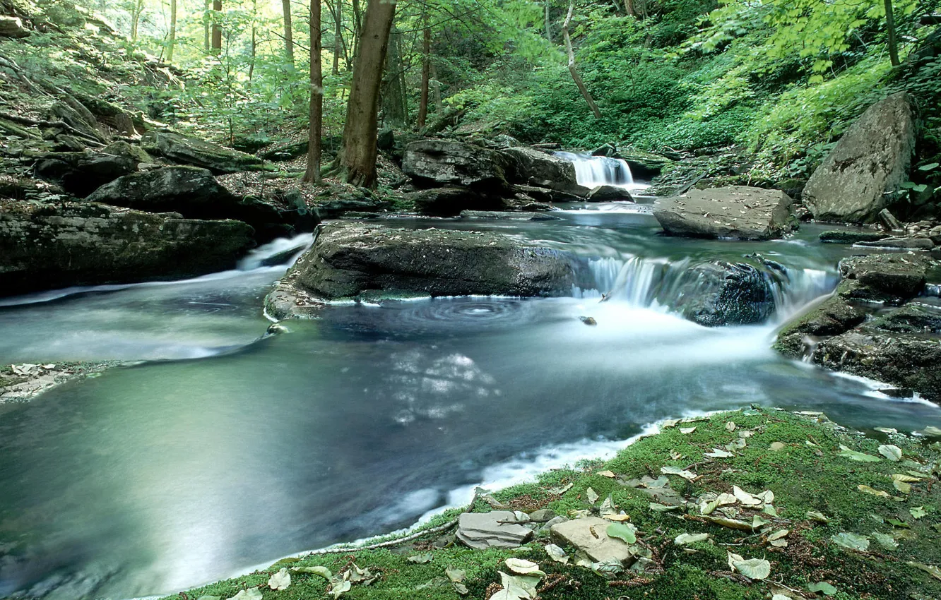 Фото обои лес, река, камни, водопад, Природа