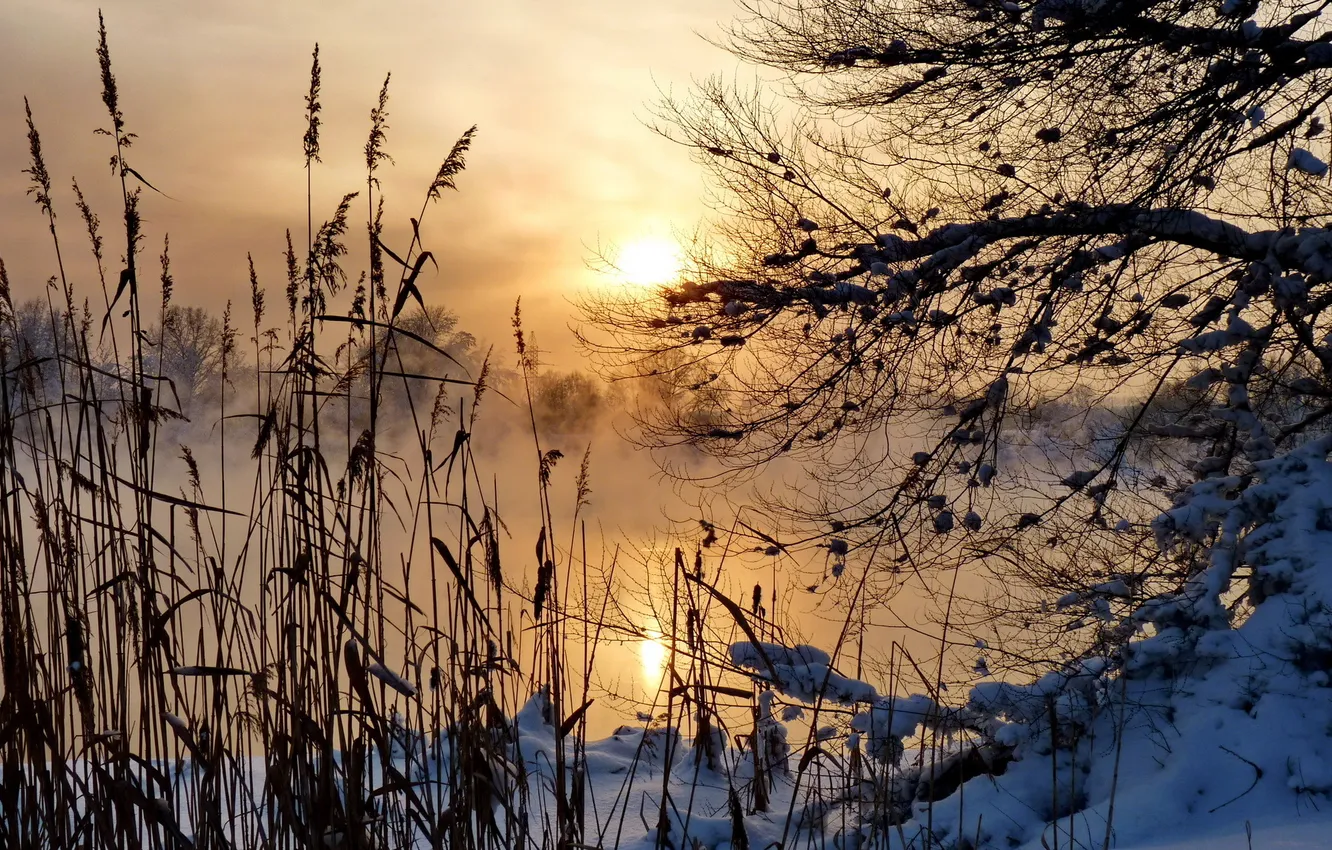 Фото обои пейзаж, туман, река, утро