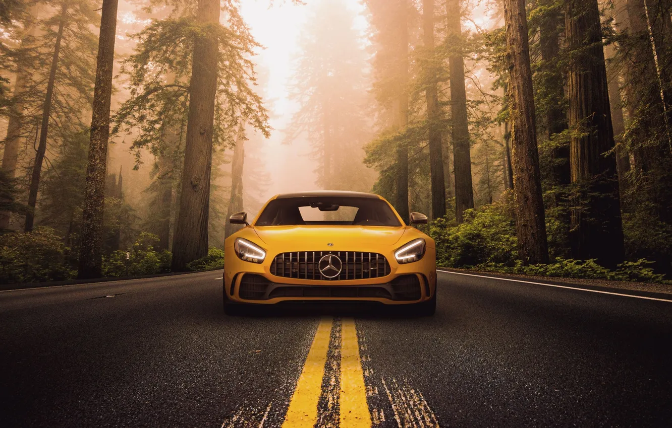 Фото обои Mercedes, benz, Mercedes benz, amg
