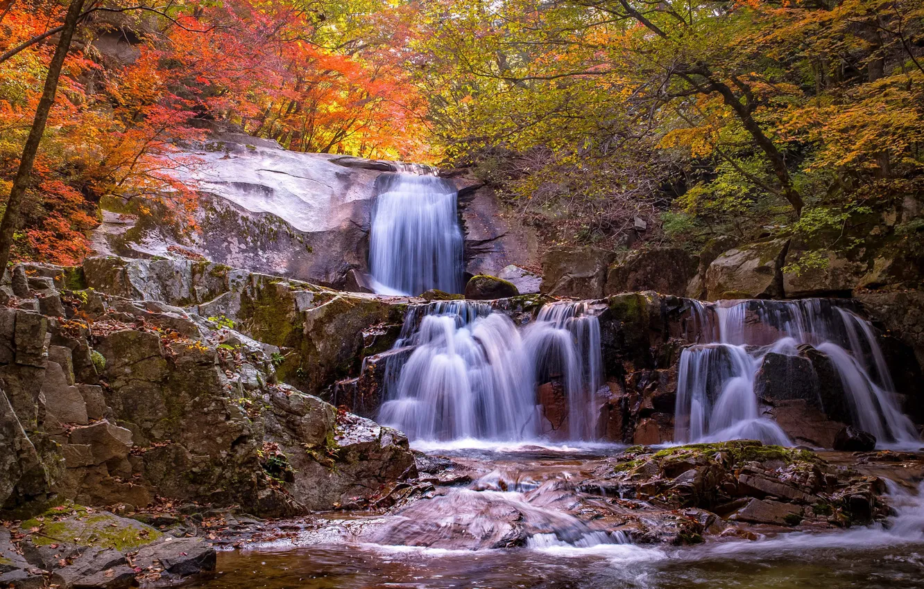 Фото обои осень, лес, скалы, листва, водопад