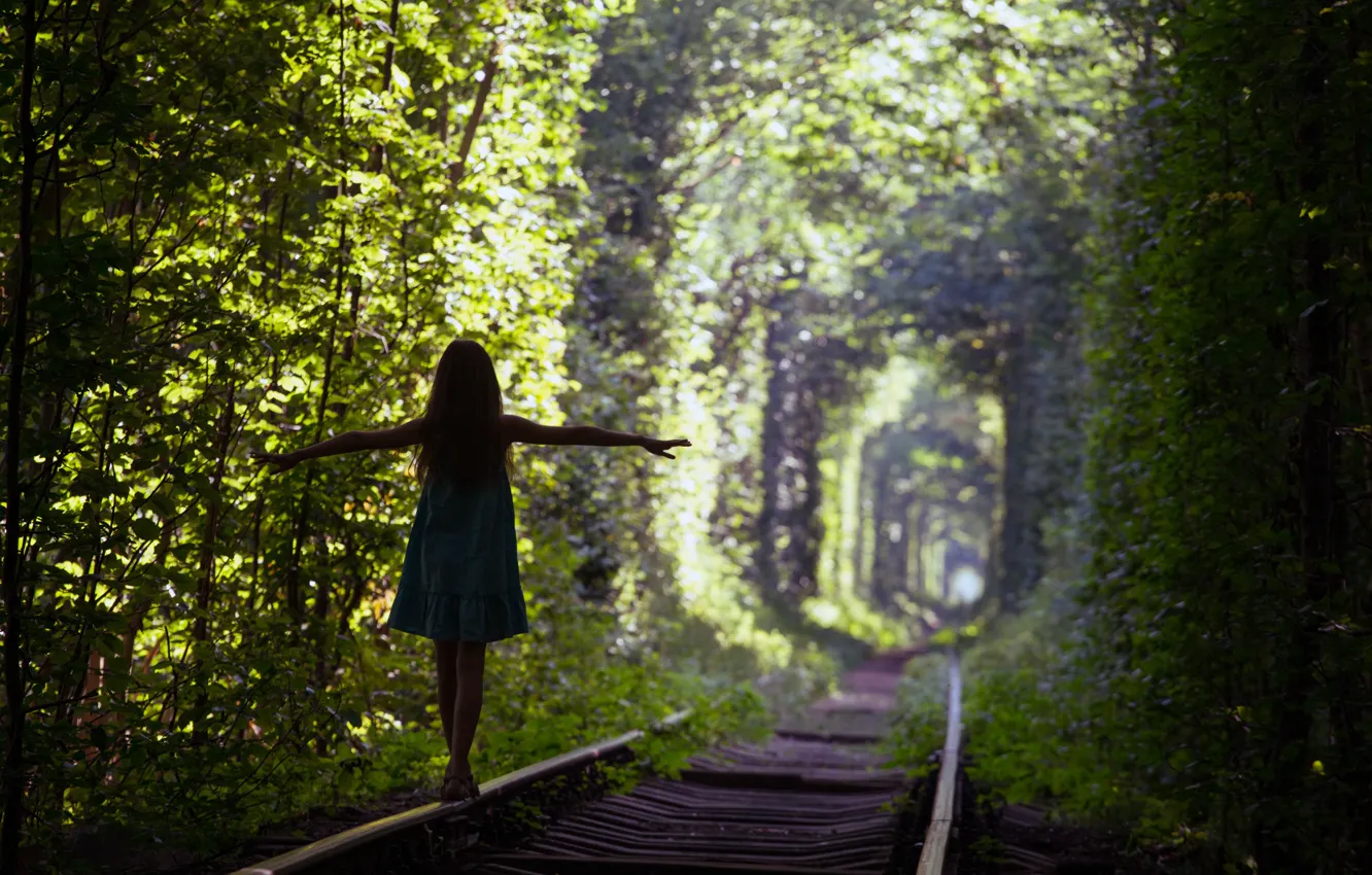 Фото обои green, silhouette, Trees, train tracks