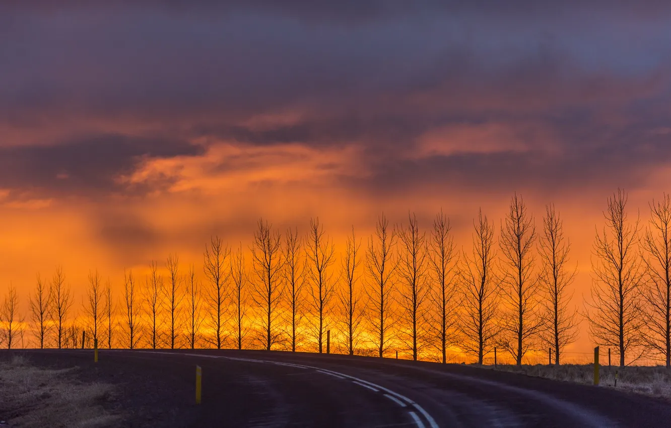 Фото обои дорога, деревья, пейзаж, закат