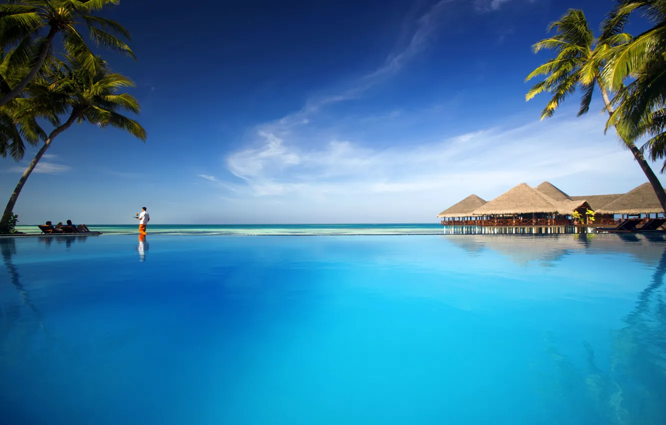 Фото обои пальмы, океан, бассейн, курорт, fantastic Maldives