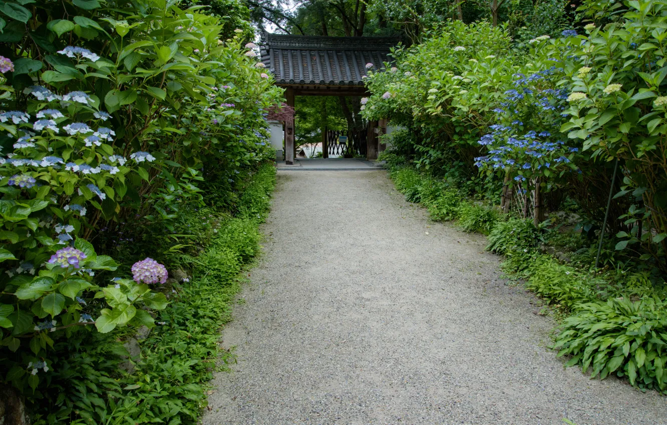 Фото обои Природа, Япония, Ворота, Храм, Дорожка