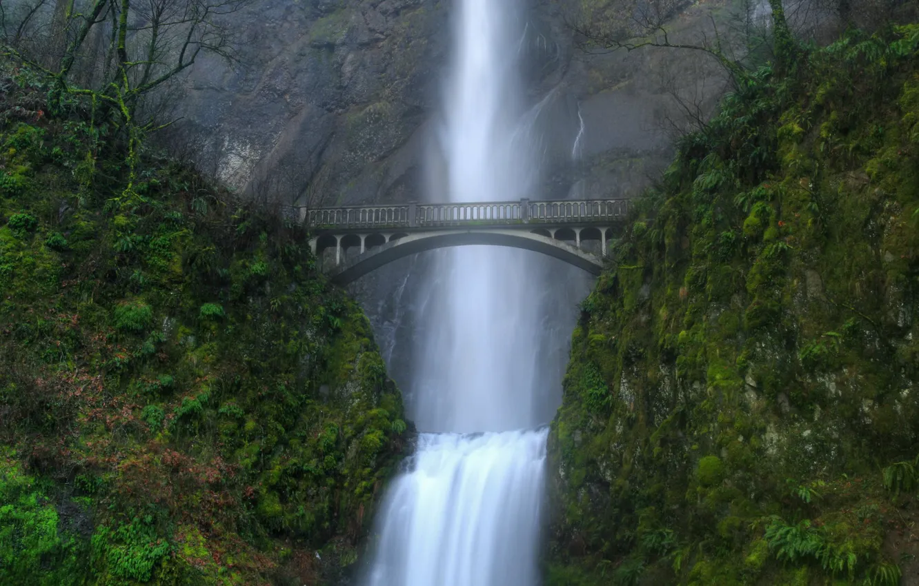 Фото обои зеленый, водопад, Мост