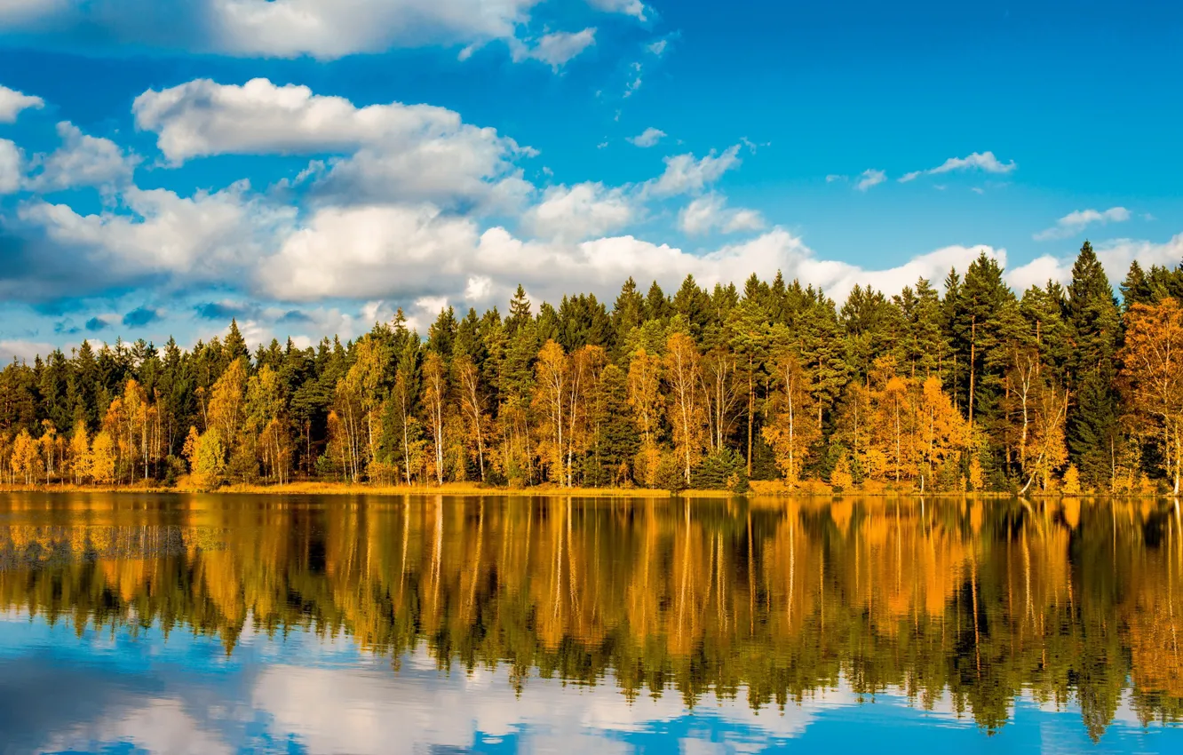 Фото обои осень, деревья, озеро, отражение