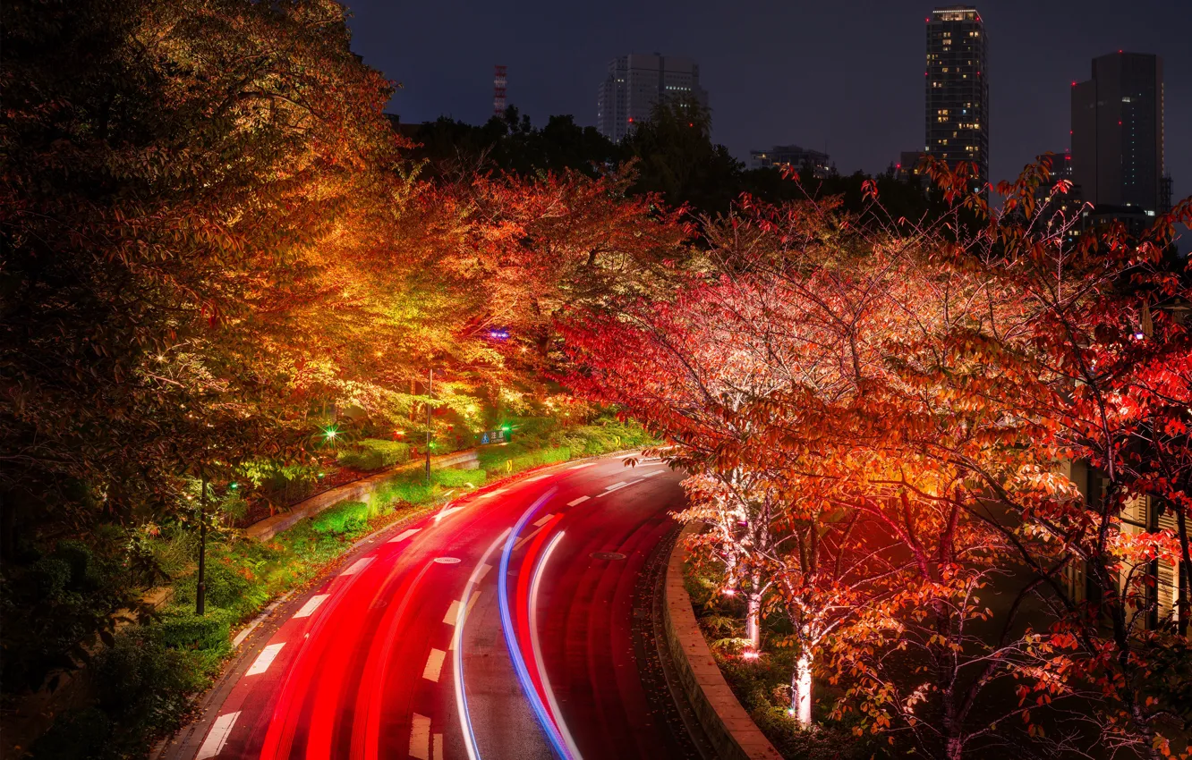 Фото обои дорога, деревья, ночь, огни, дома, Япония, Токио, фонари