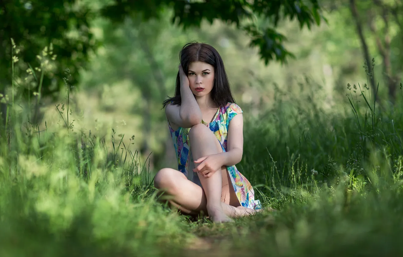 Фото обои трава, взгляд, природа, поза, жест, милая девушка, гожки, сидя на траве