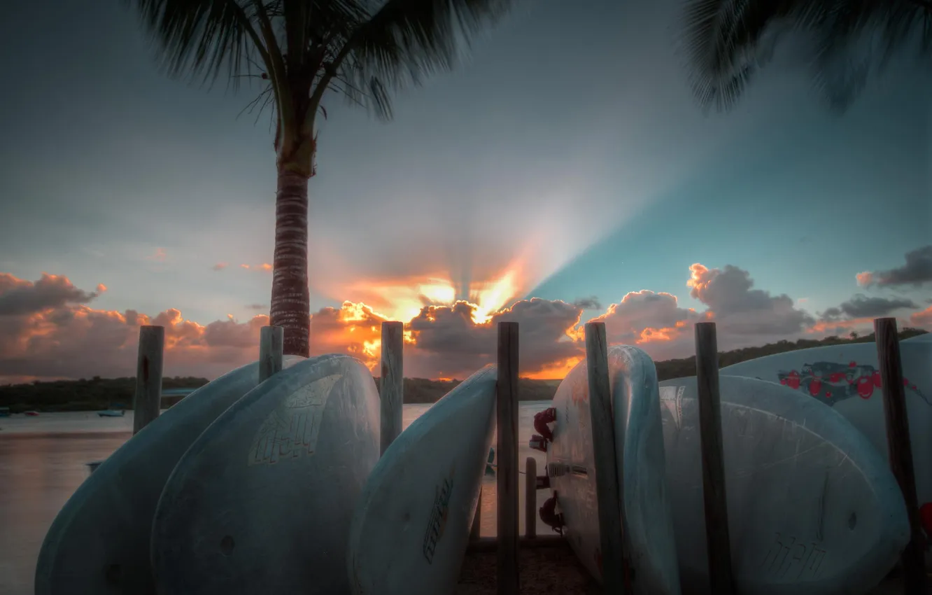 Фото обои пляж, небо, пейзаж, пальмы, океан, рассвет, доски для серфинга