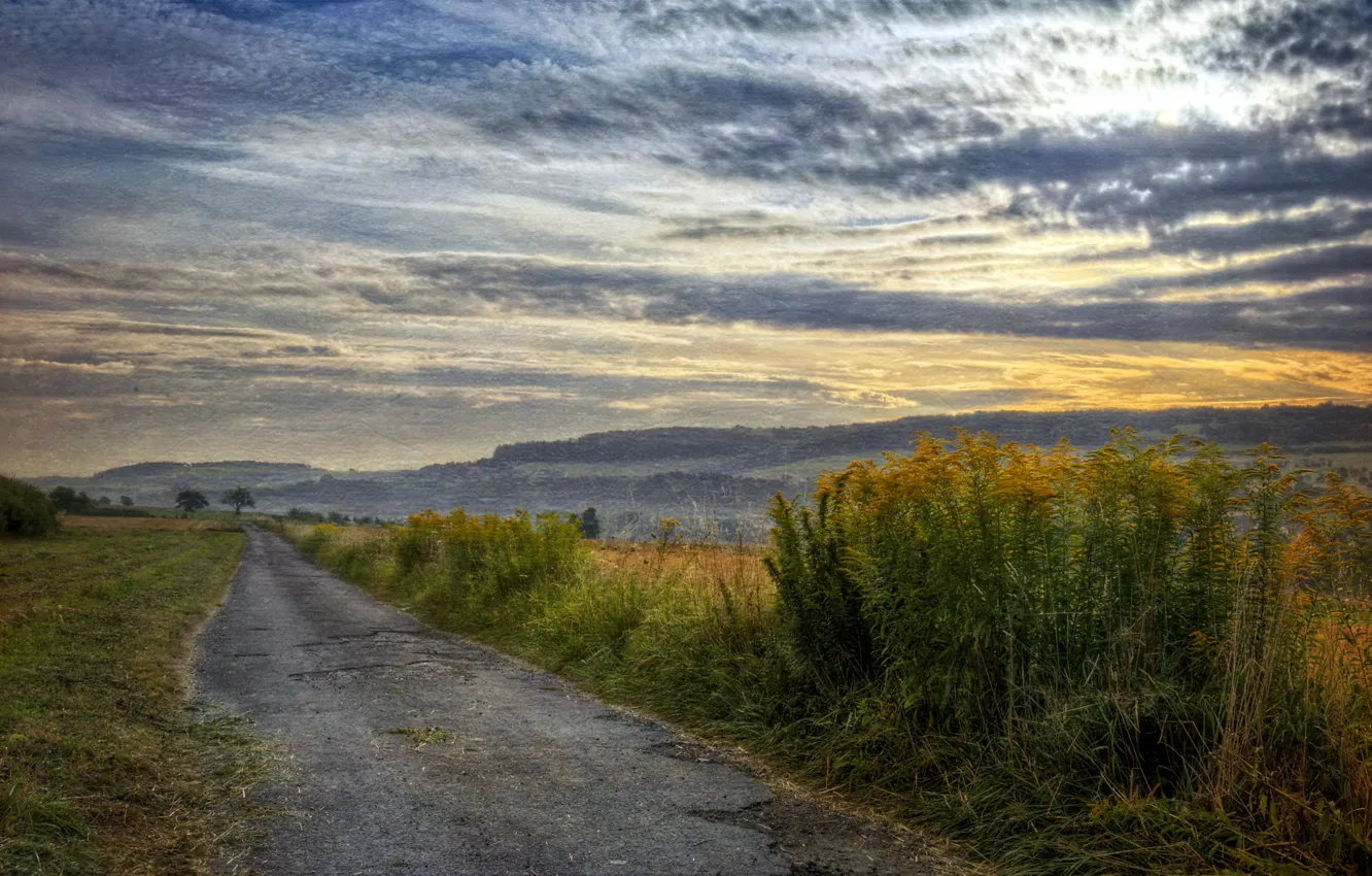 Фото обои дорога, поле, пейзаж, закат, стиль