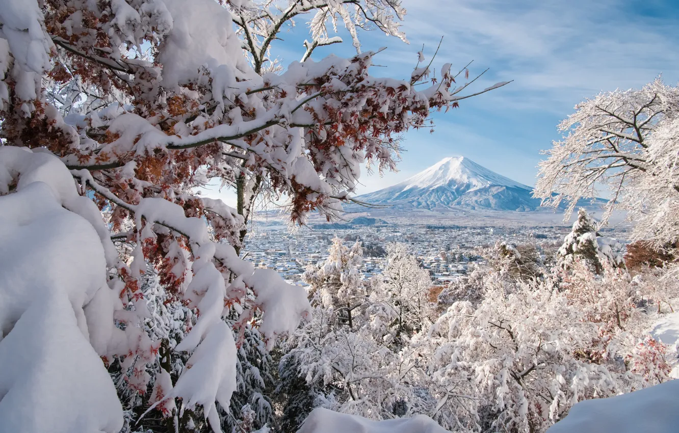 Фото обои зима, снег, деревья, ветки, вулкан, Япония, панорама, Japan