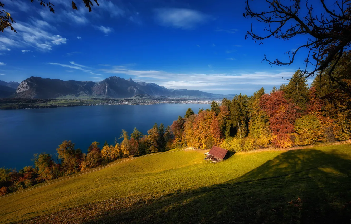 Фото обои осень, деревья, горы, озеро, Швейцария, Switzerland, Lake Thun, Bernese Alps