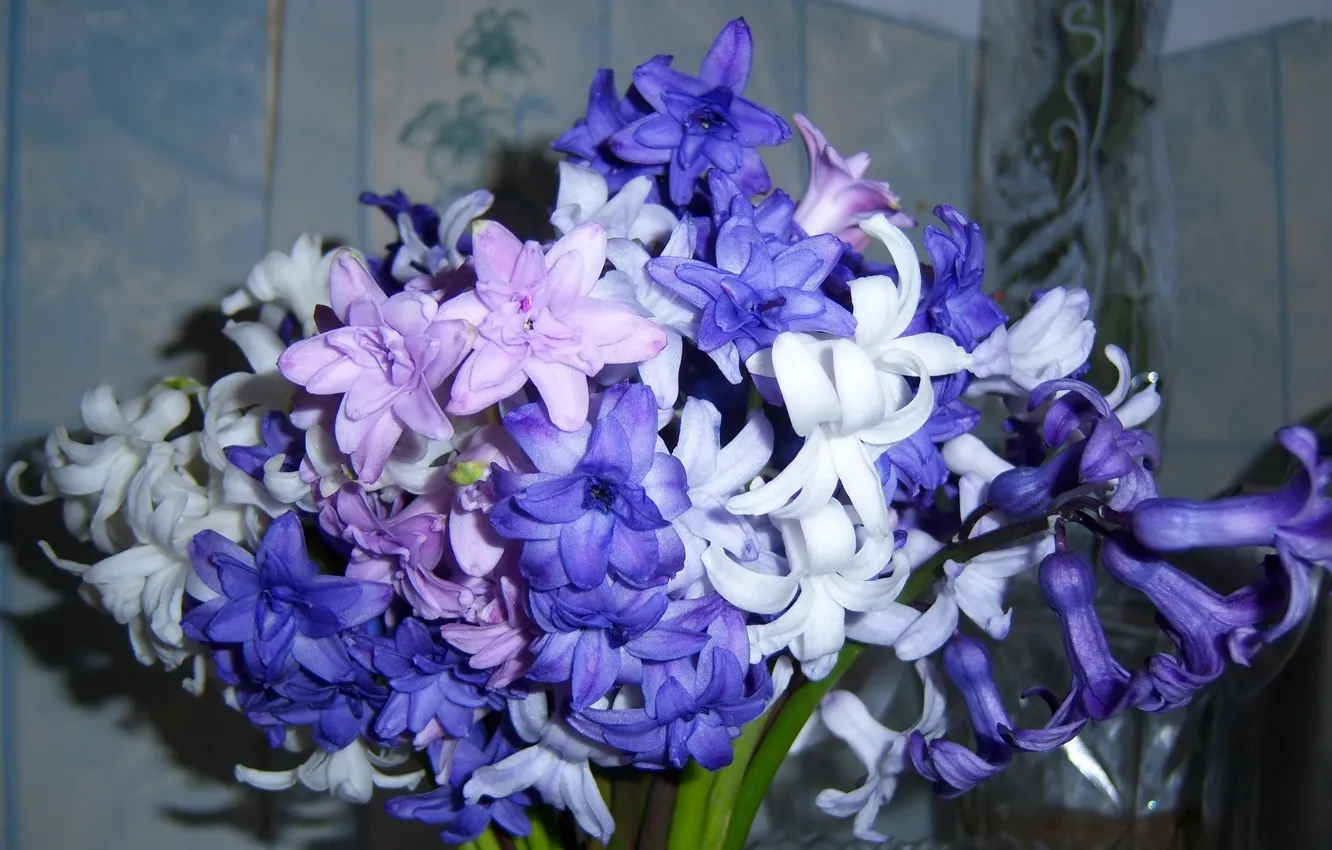 Фото обои букет, гиацинты, Meduzanol ©, весна 2010