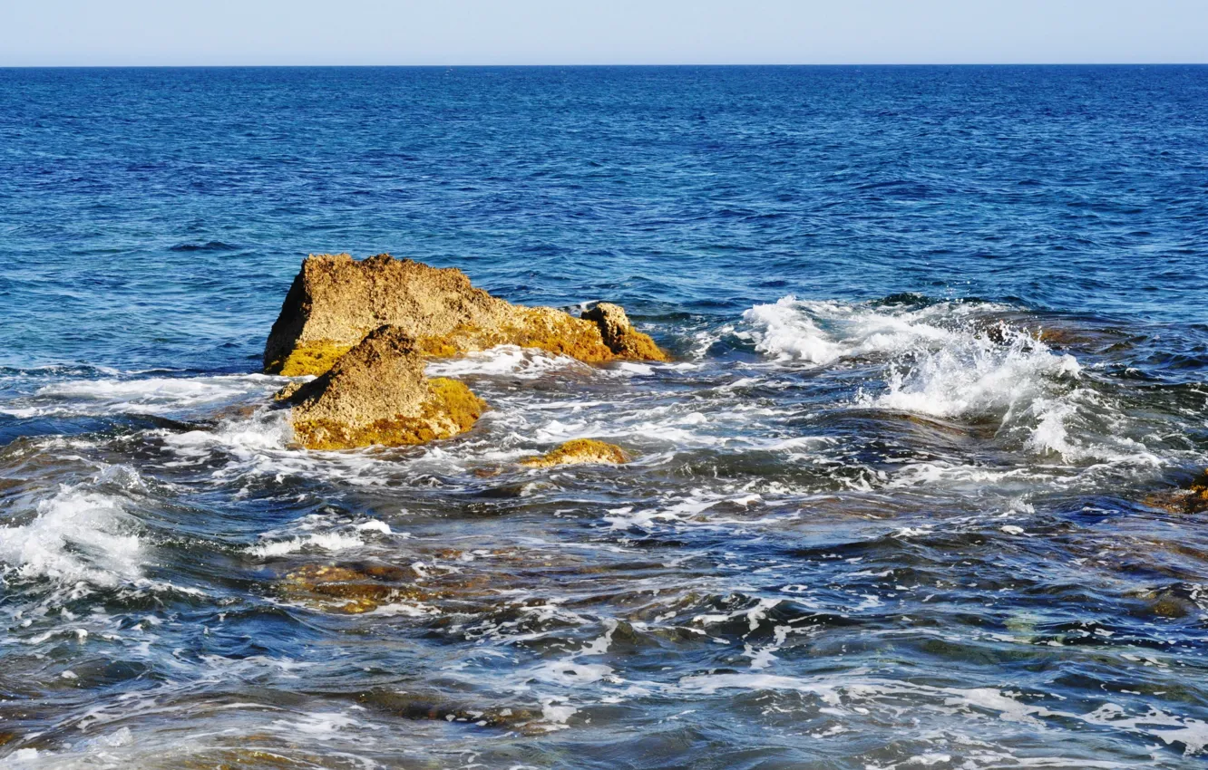 Фото обои море, волны, водоросли, камни
