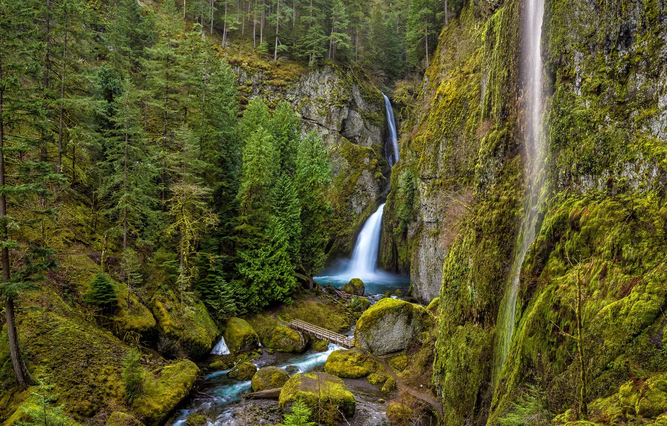 Фото обои Орегон, USA, США, Oregon, Columbia, Колумбия, River Gorge, Wahclella Falls