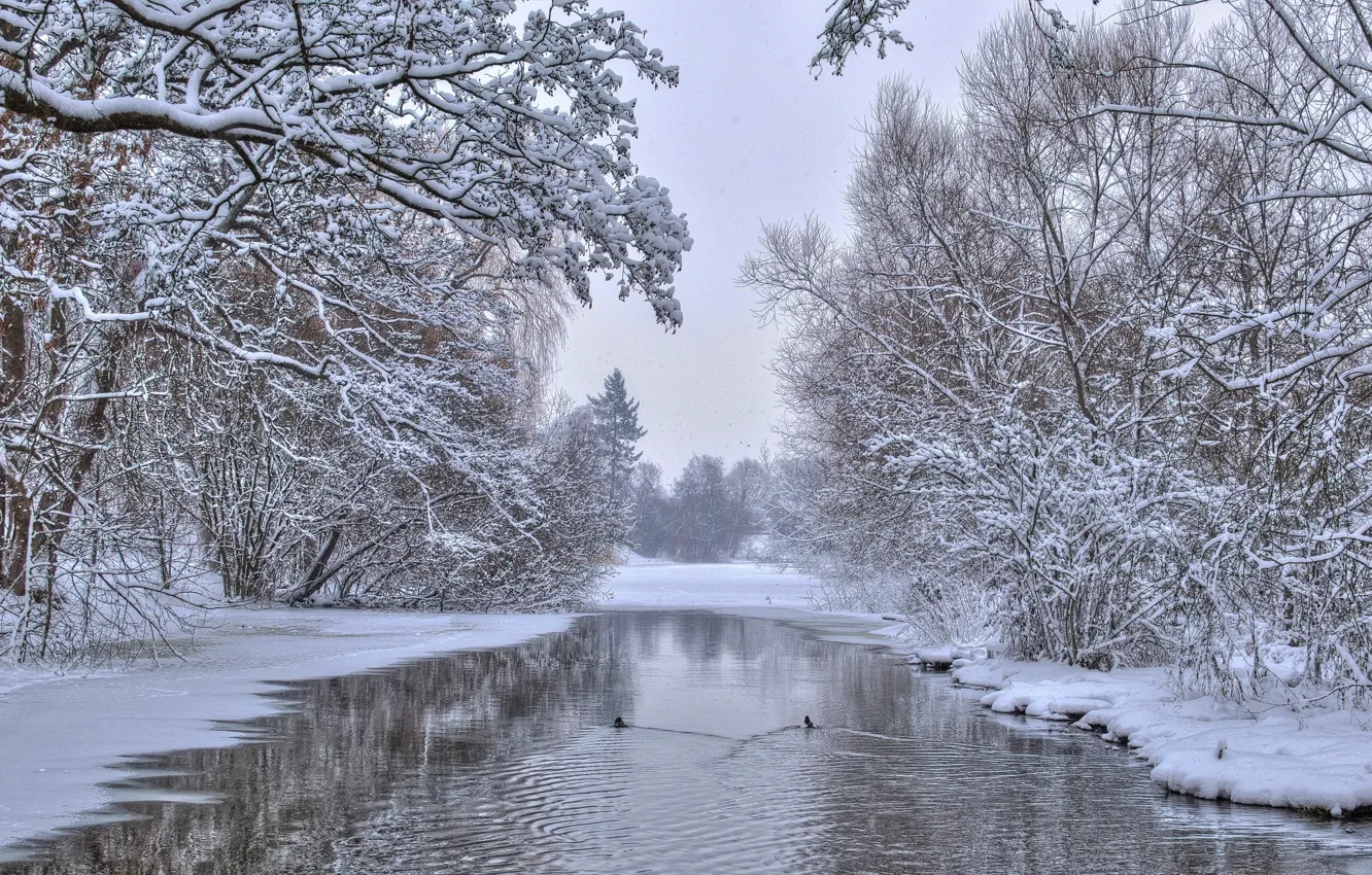 Фото обои зима, деревья, природа, река