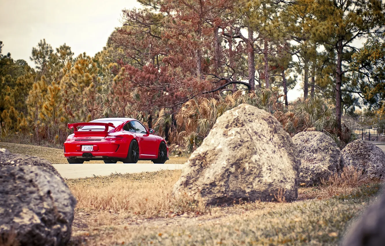 Фото обои дорога, лес, небо, деревья, красный, 911, 997, porsche