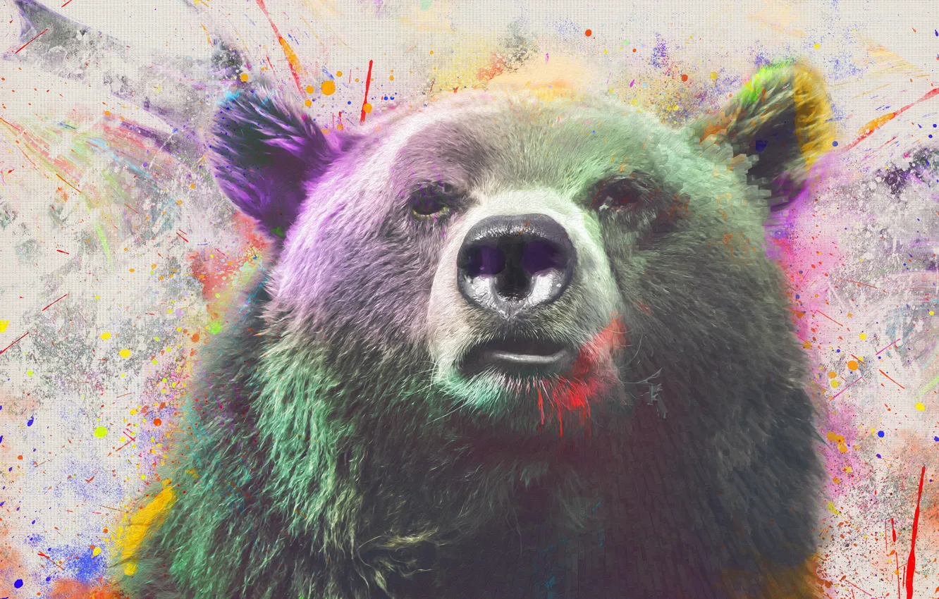 Фото обои брызги, краска, медведь, by 0l-Fox-l0